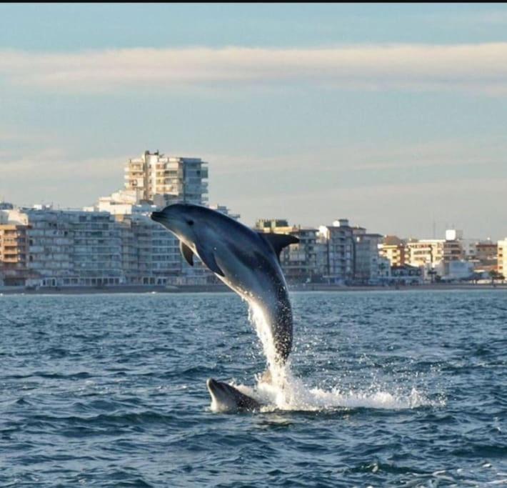 Chalet Adosado En La Playa De El Perellonet Con Piscina, Pista Tenis Valencia Eksteriør billede